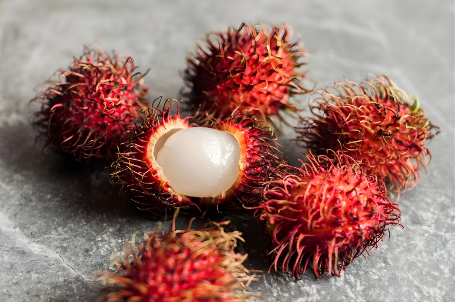 Rambután